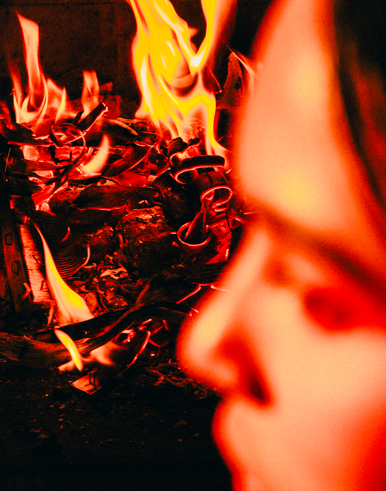 Close-up of a single green leaf against a white background.