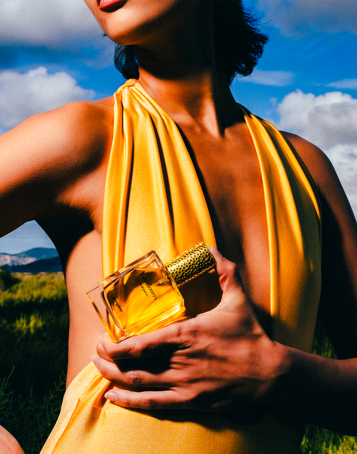 Close-up of a single green leaf against a white background.