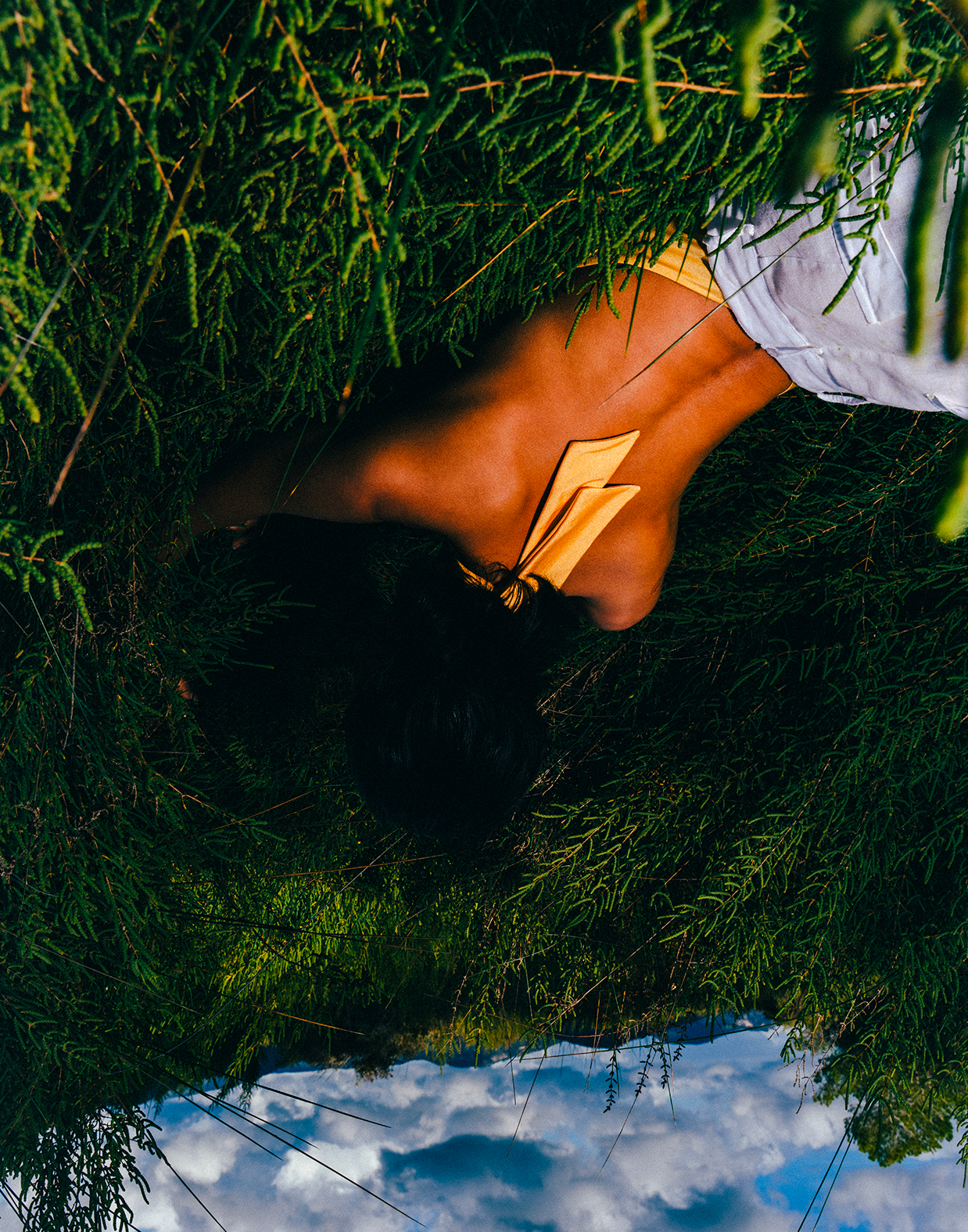 Close-up of a single green leaf against a white background.